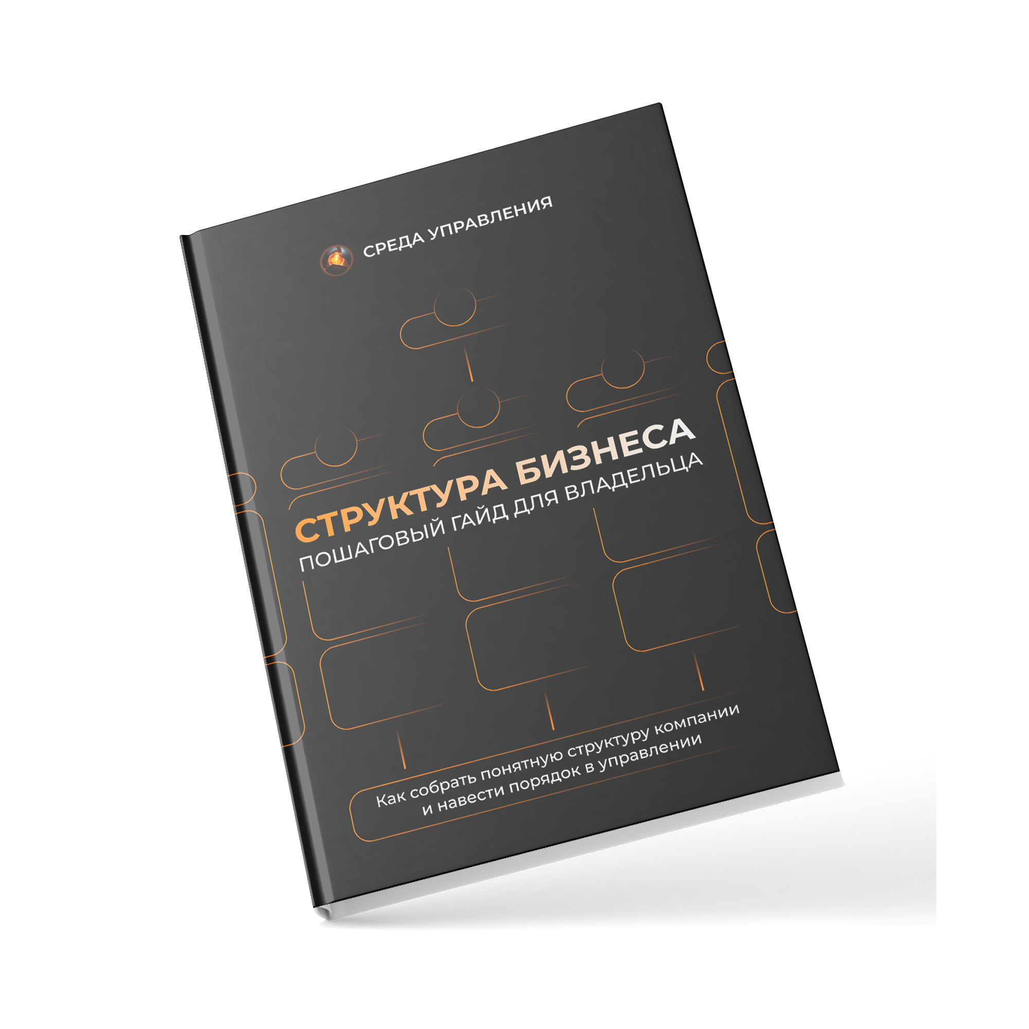 Структура бизнеса — ключ к порядку и управляемости компании | Гайд от Среды управления
